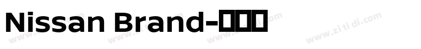 Nissan Brand字体转换 Nissan Brand字体转换